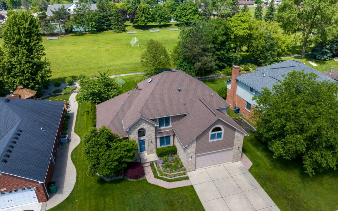 Trees That Make Your Yard Too Dark